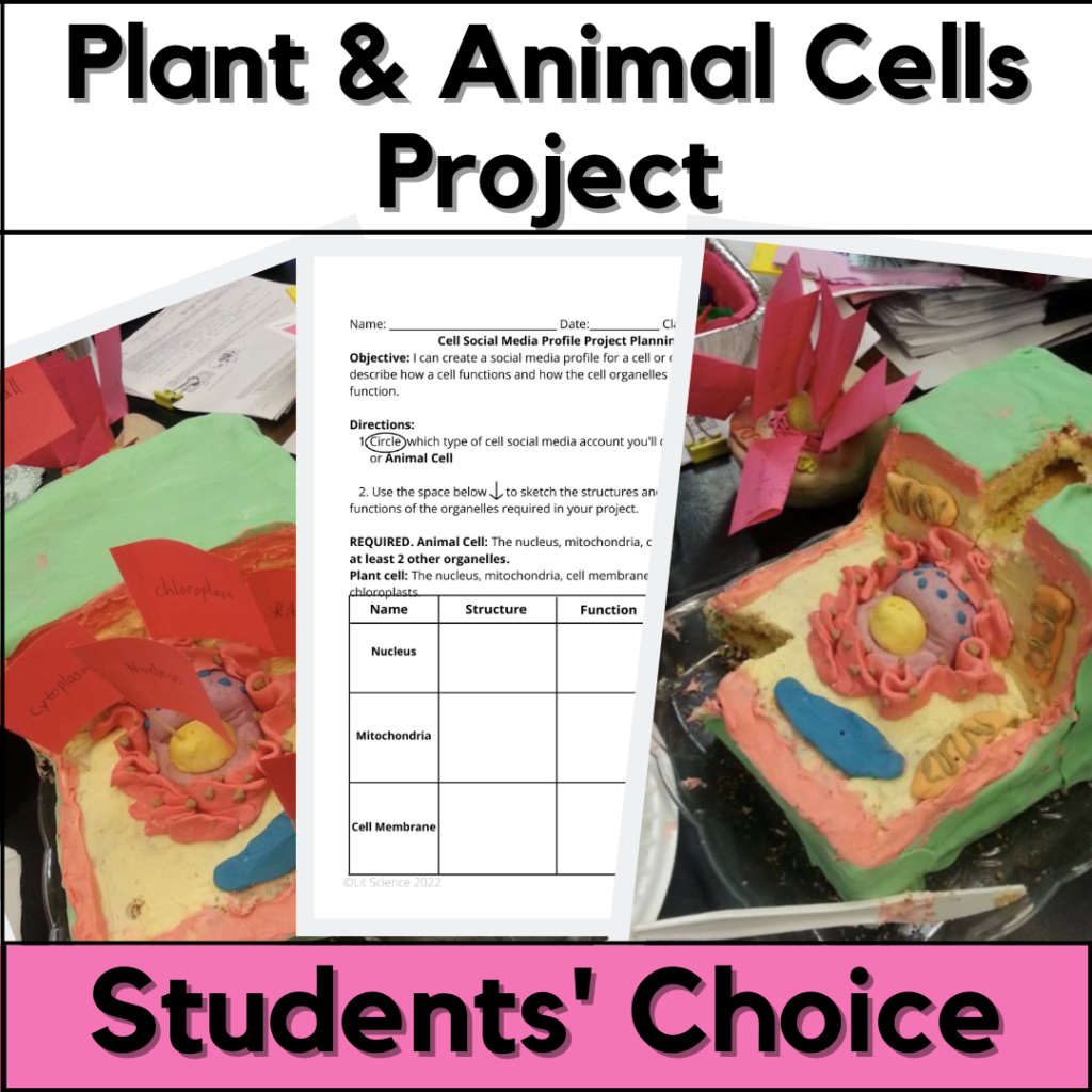 Plant and Animal Cells Project Students Choice