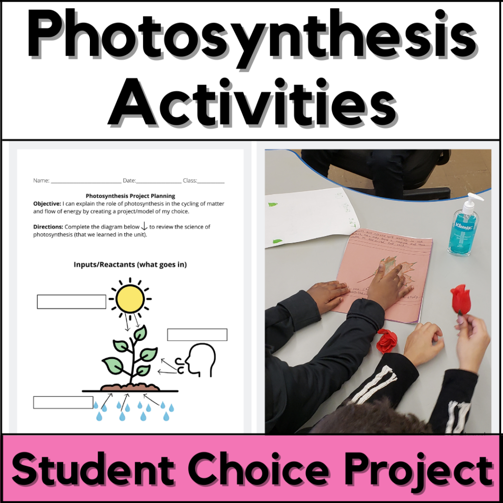 Photosynthesis-activities-student-choice-project